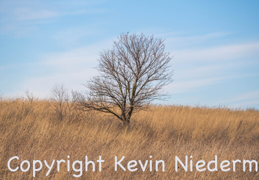 Landscapes & Nature